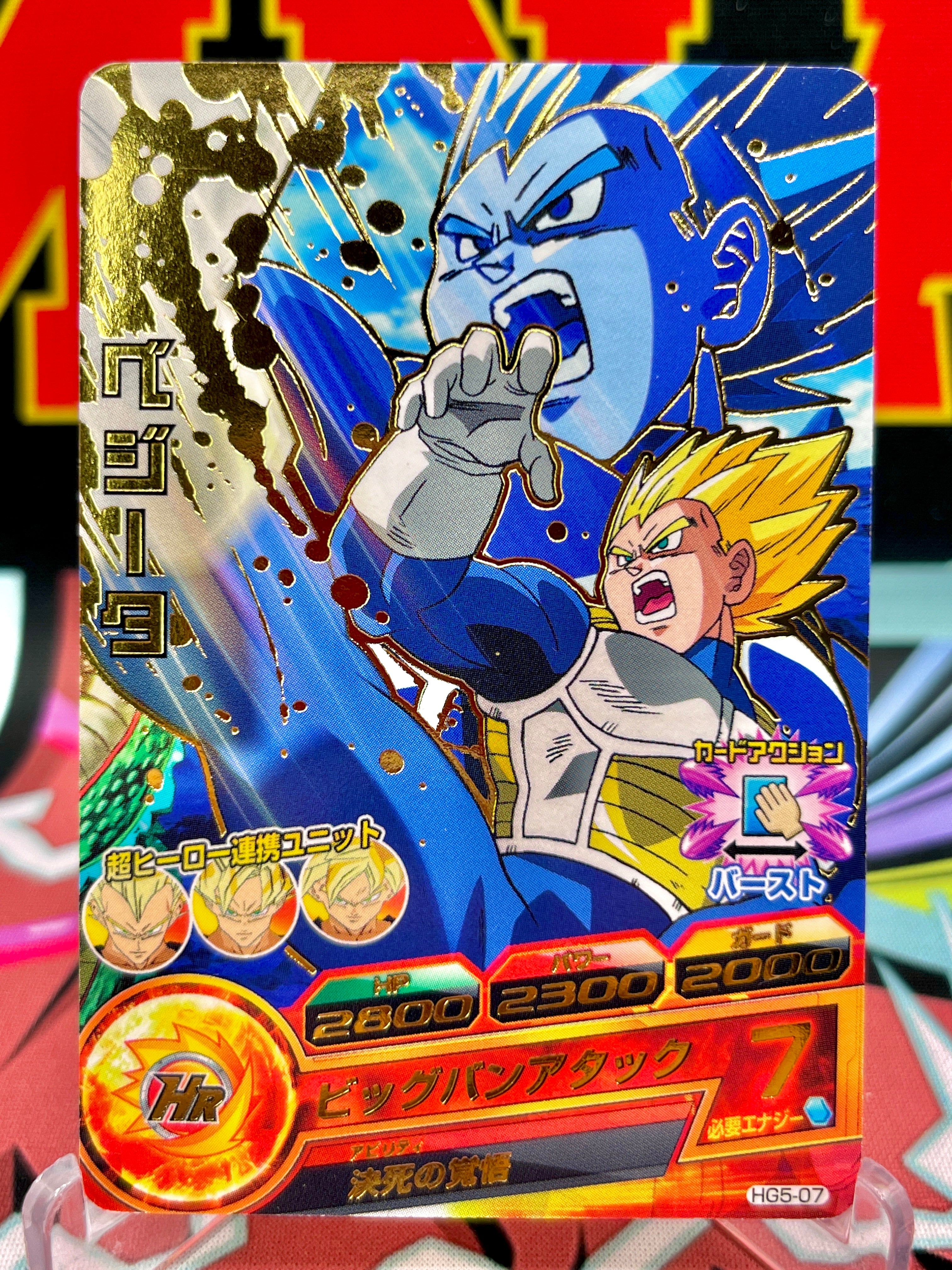 HG5-07 Vegeta Vintage R (2012)