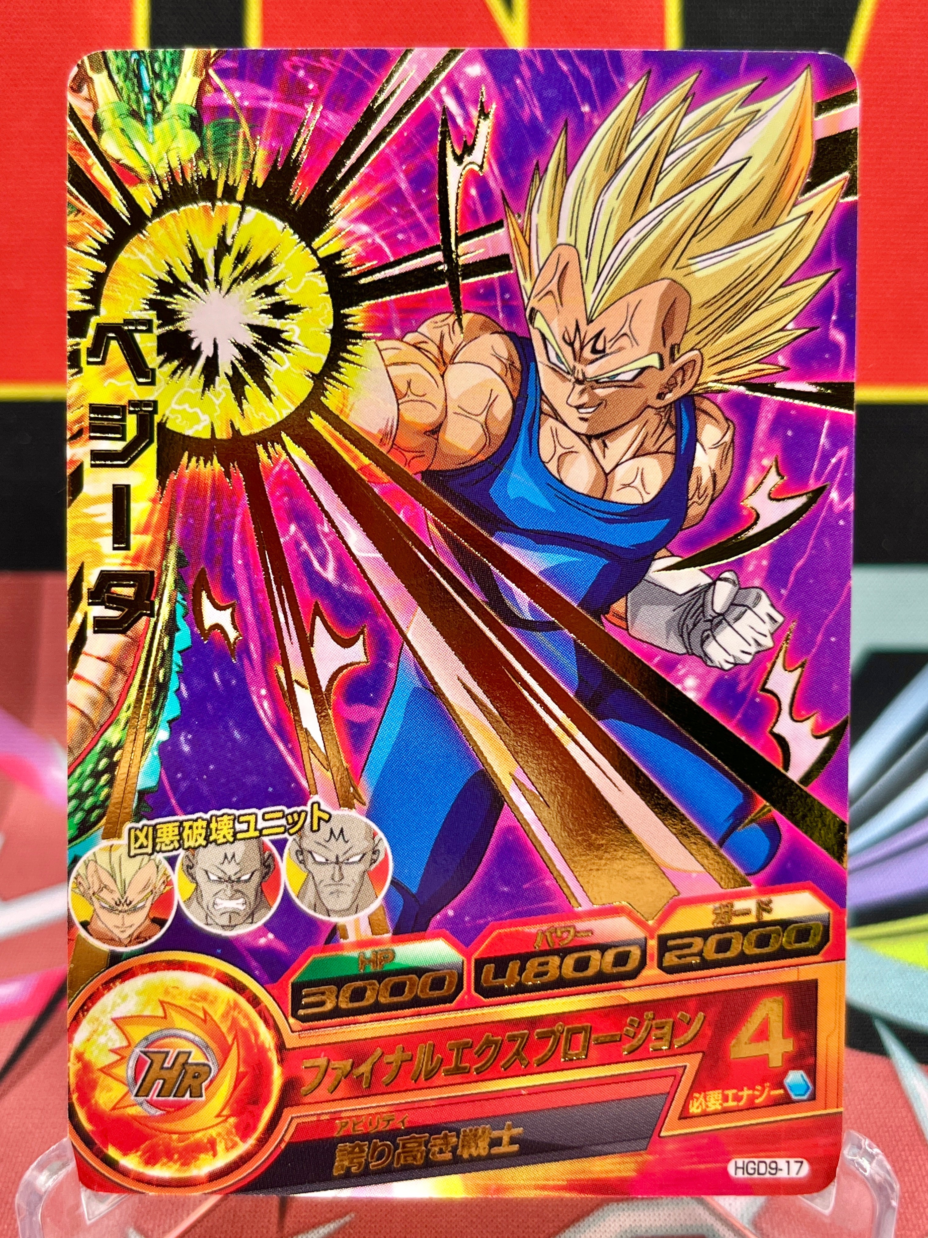 HGD9-17 Vegeta Vintage R (2016)
