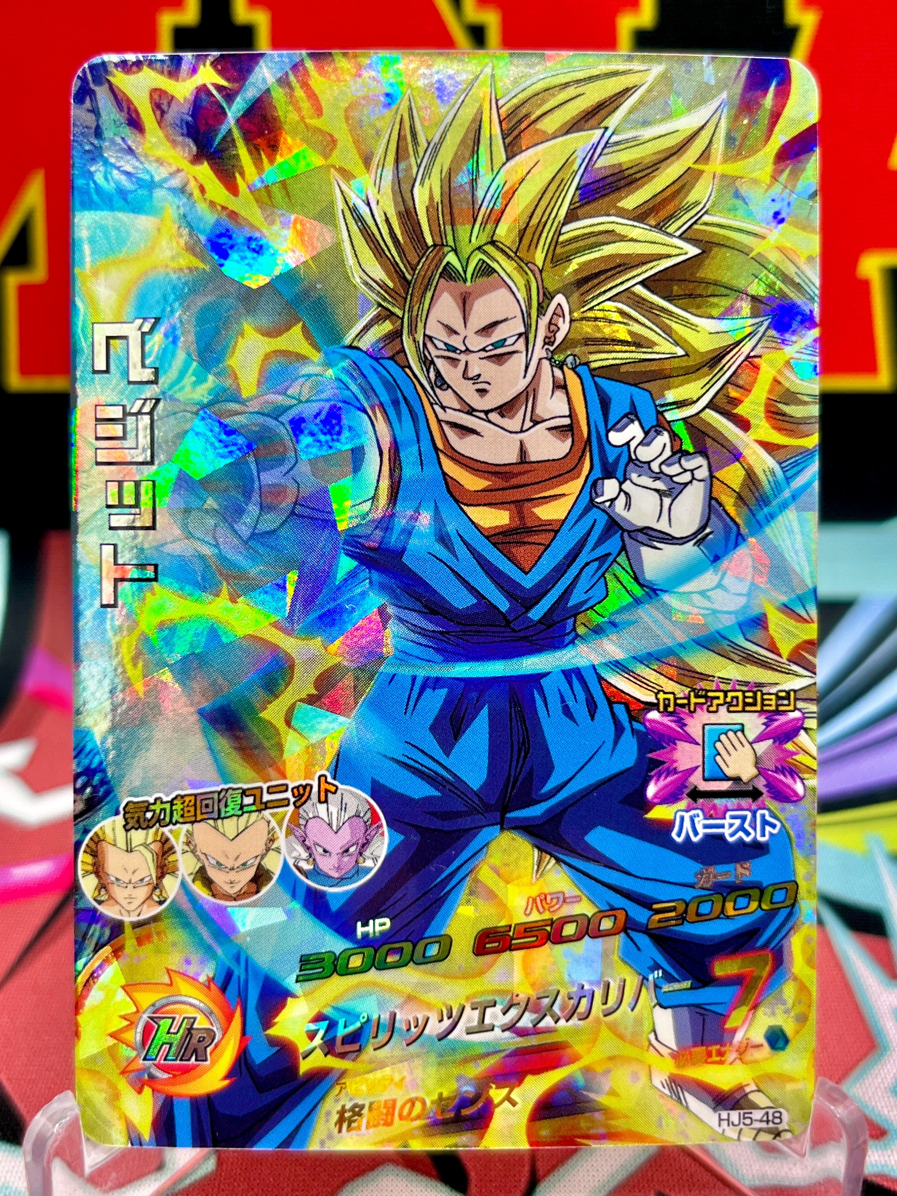 HJ5-48 Vegetto Vintage SR (2014)