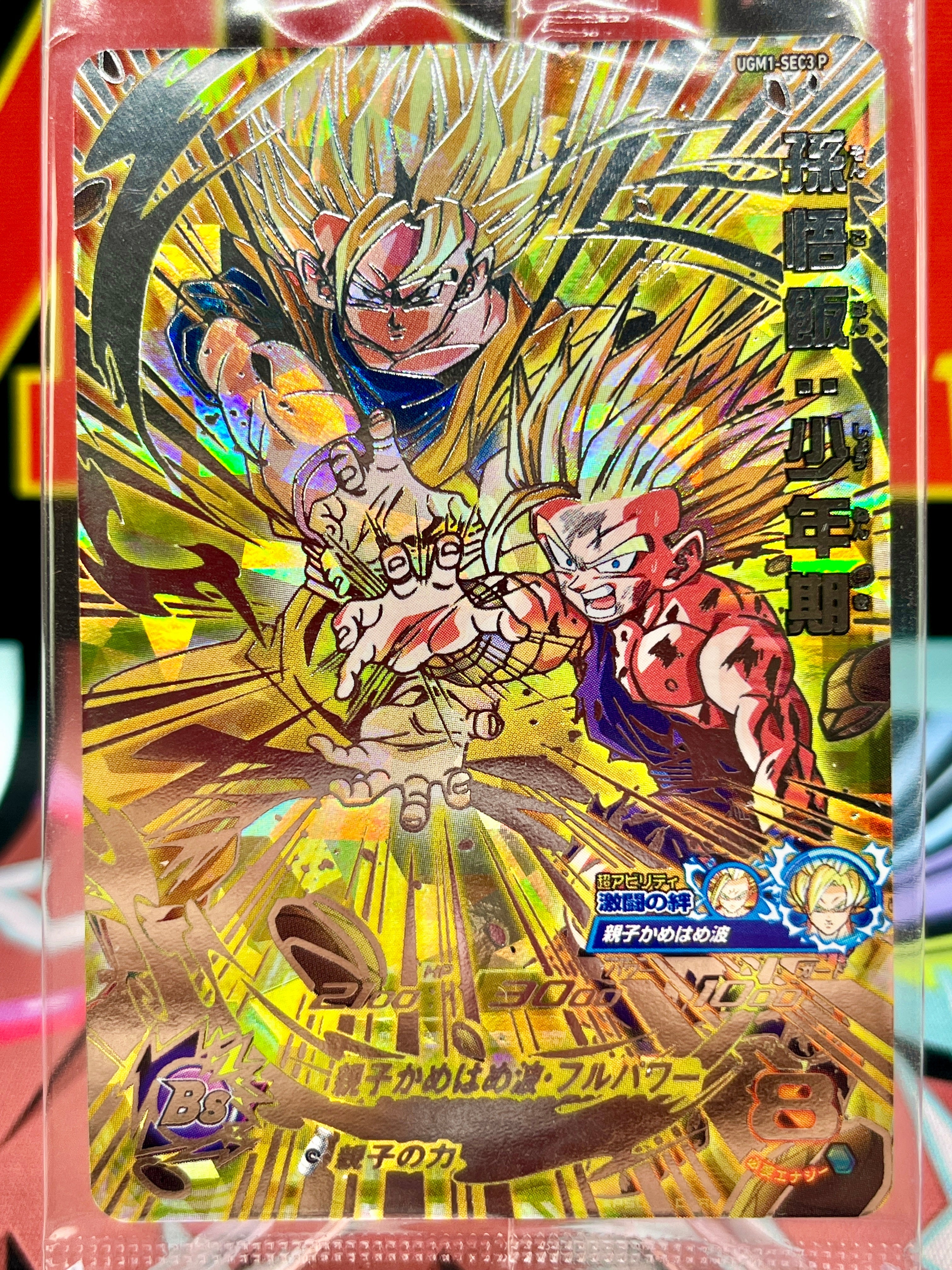 UGM1-SEC3 P Son Gohan y Goku (2024)