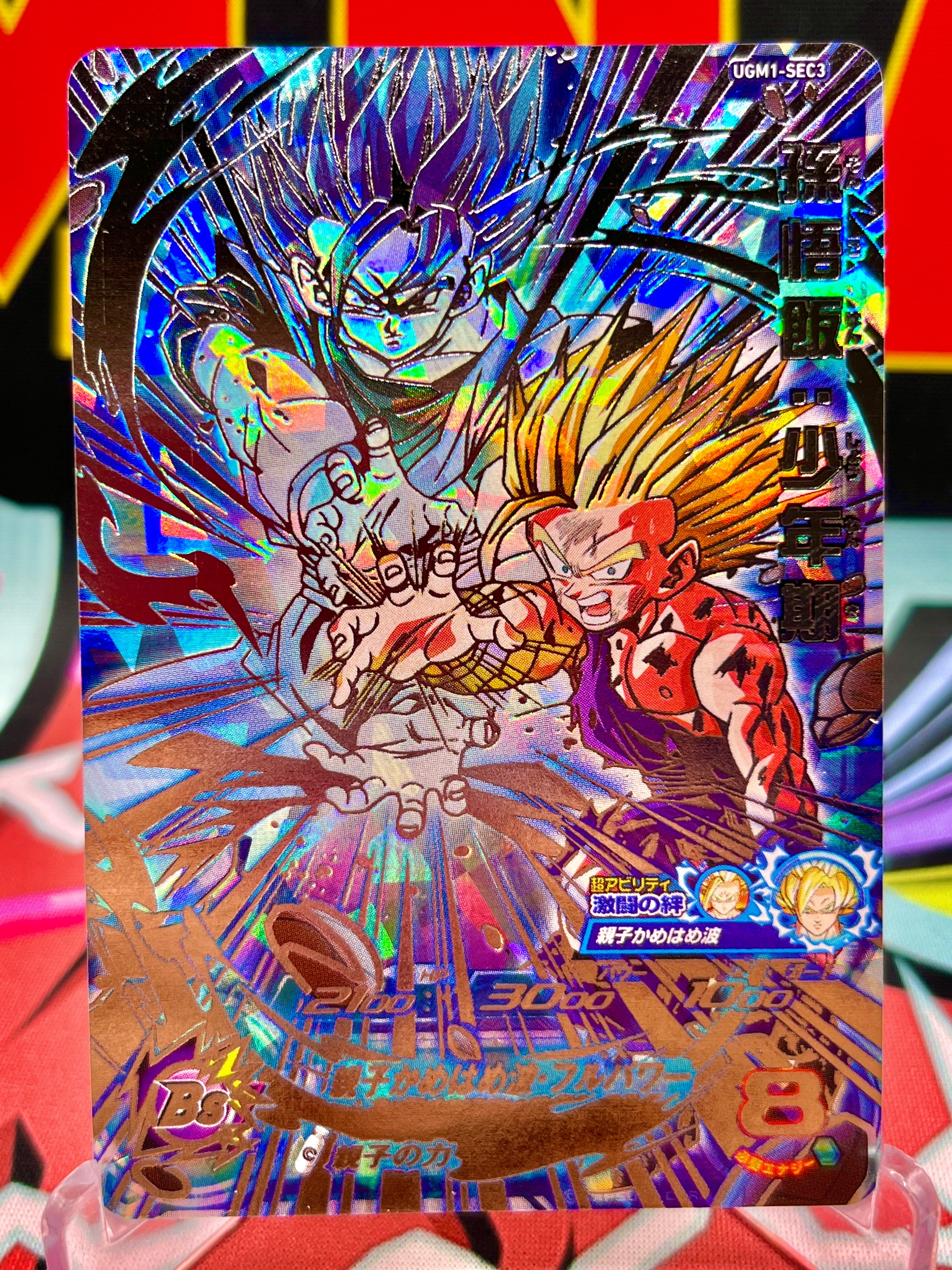 UGM1-SEC3 Son Gohan y Goku (2022)