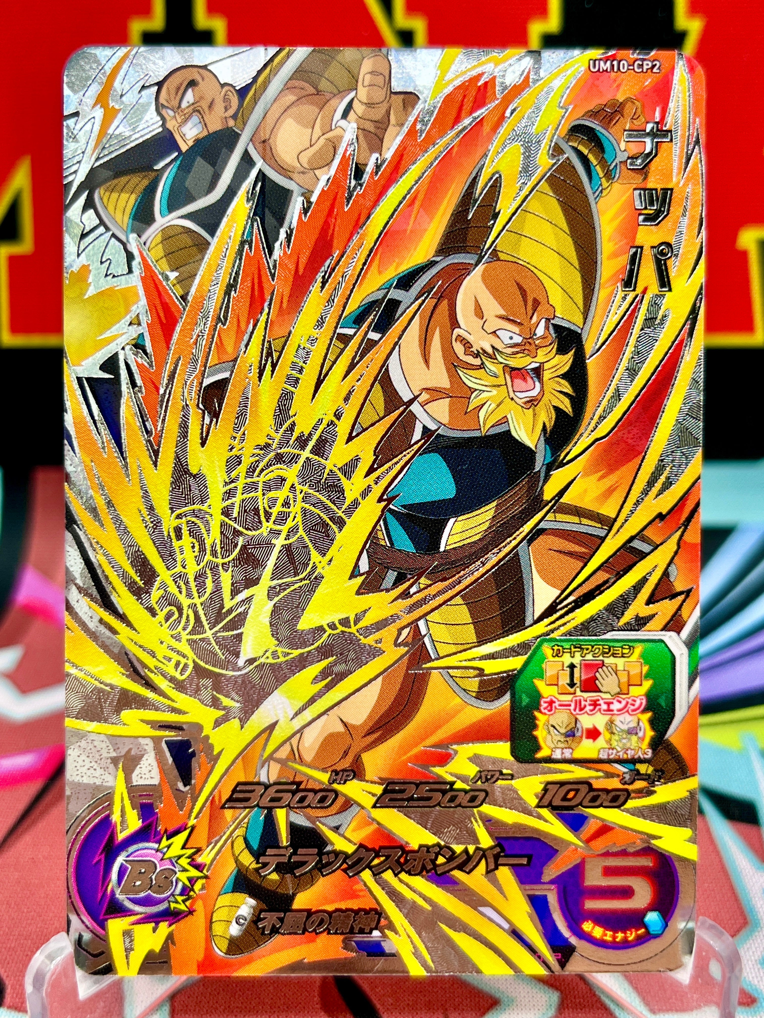 UM10-CP2 Nappa CP (2019)