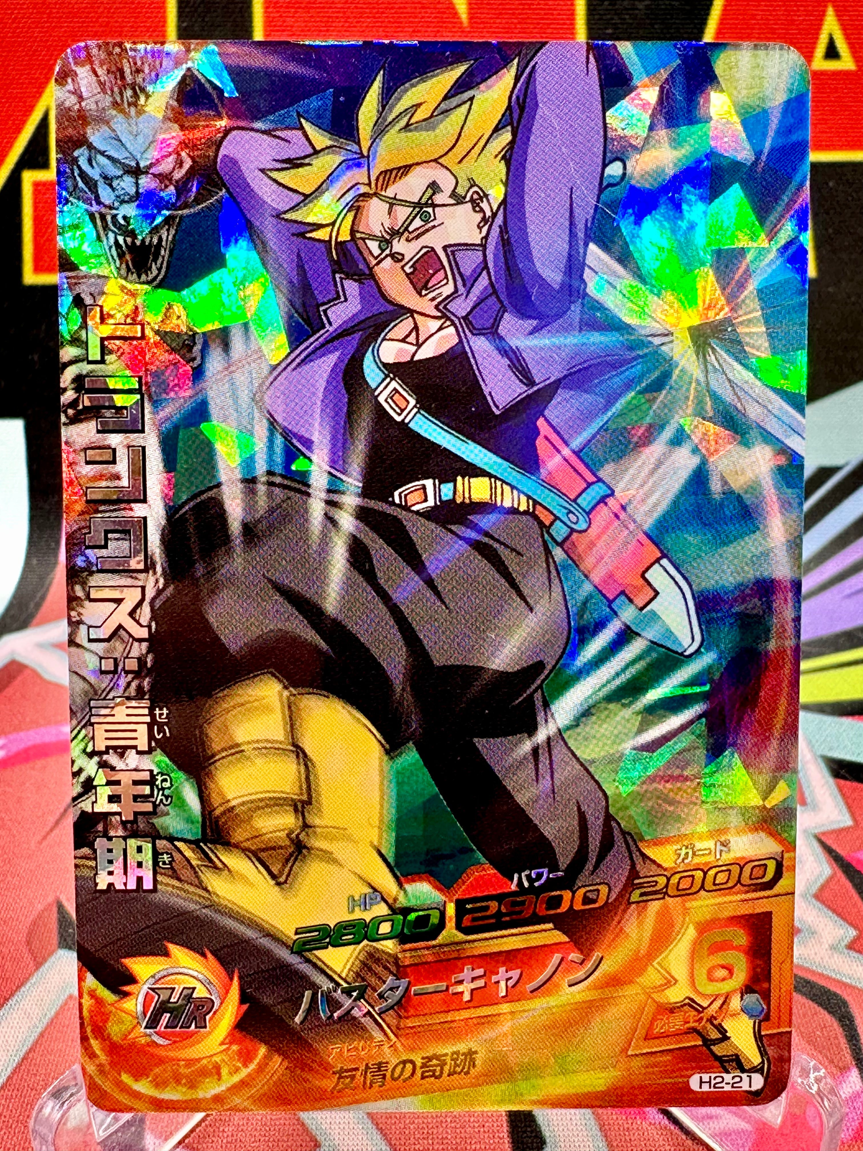 H2-21 Trunks: Adolescence Vintage SR (2011)
