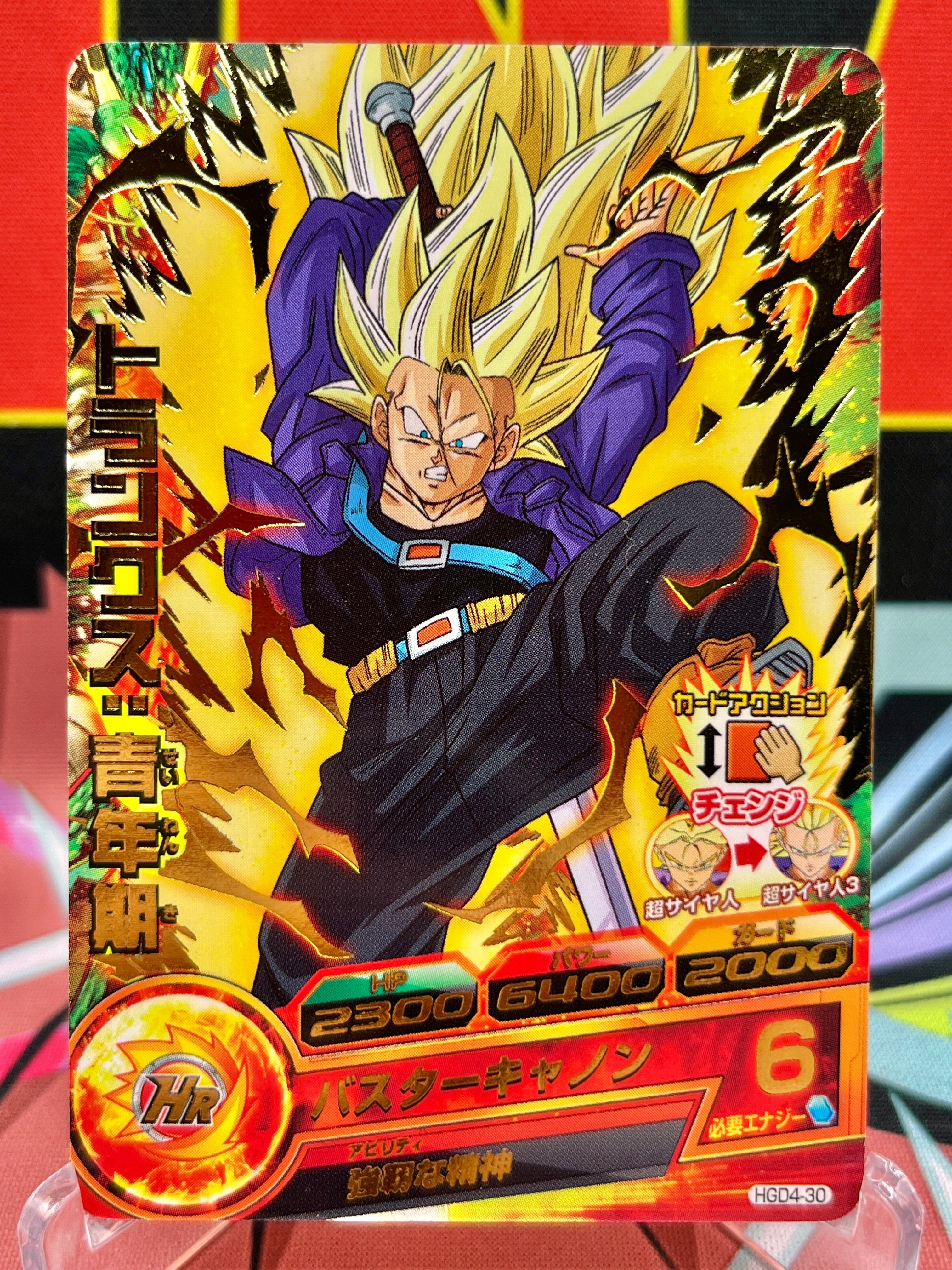 HGD4-30 Trunks: Youth Vintage R (2015)